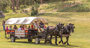 BH Classic Family Vacation Chuckwagon